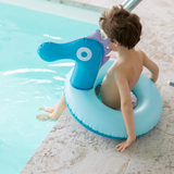SWIM RINGS - SEAHORSE (55CM)