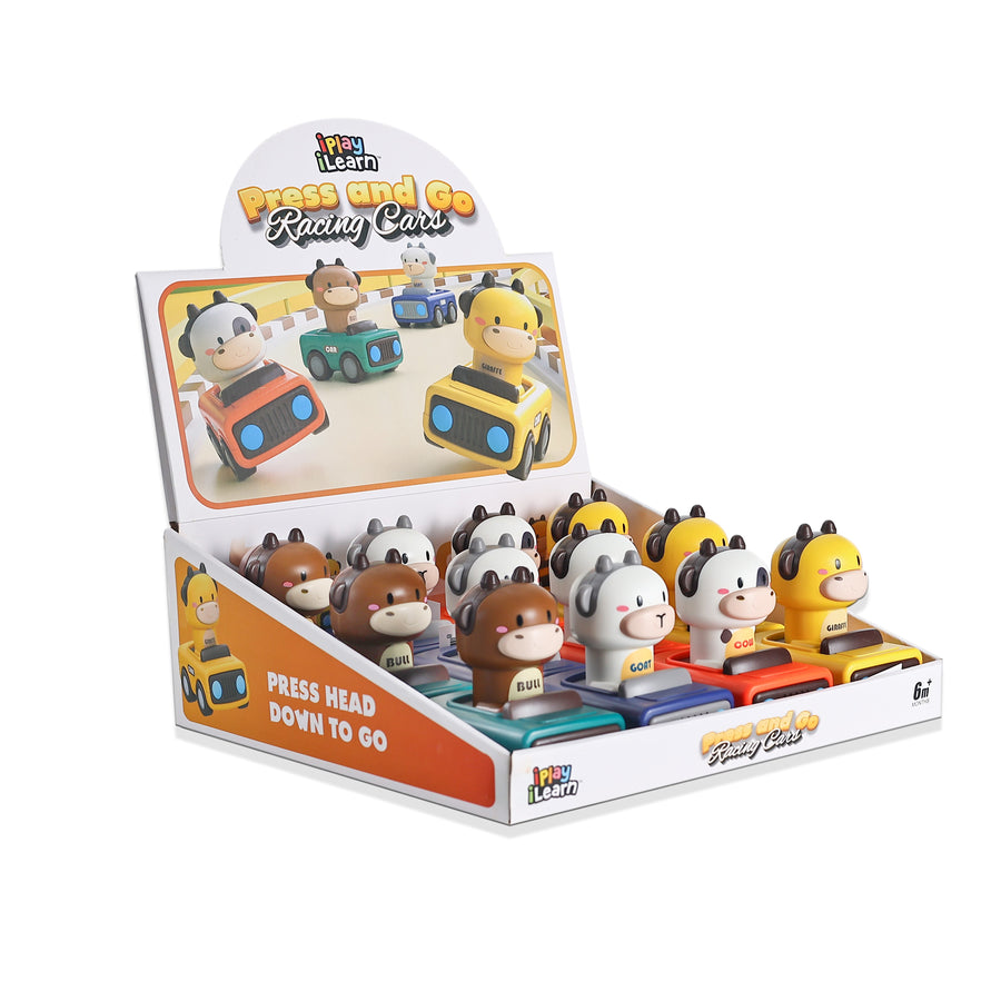 Push & Pull Toys