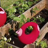 CANA LARGE - CHERRY