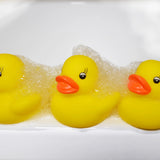 BATH TIME LIGHT UP DUCKS
